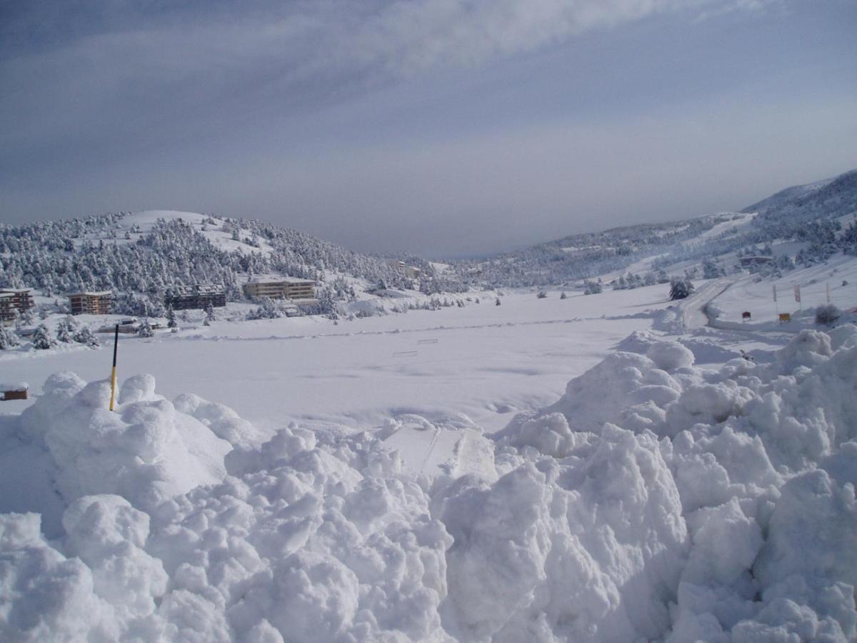 Greolieres Les Neiges Apartment Екстериор снимка