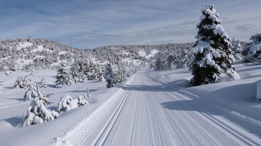 Greolieres Les Neiges Apartment Екстериор снимка